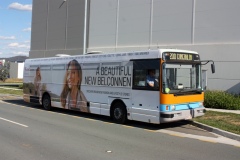 Bus-991-Iron-Knob-Street