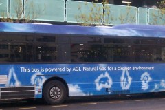 Bus-991-Woden-Interchange-01