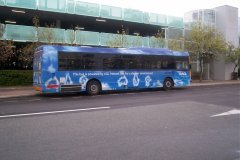 Bus-991-Woden-Interchange