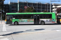 Bus-992-Ainslie-Avenue