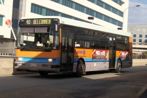 BUS 993