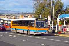Bus-994-Cohen-Street