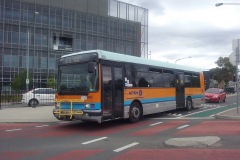 Bus-999-Cohen-Street
