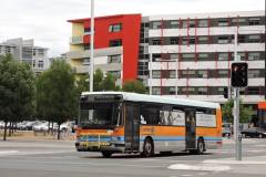 Bus999-Rimmer-1