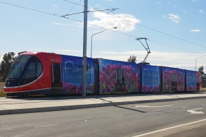 Tram 006