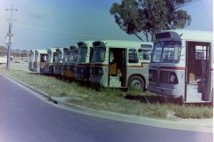 AEC Buses awaiting disposal in March 1978 - Bellona Crt - Barry Snelson Collection