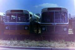 AEC Reliances awaiting disposal in March 1978 - Bellona Crt - Barry Snelson Collection