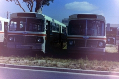 AEC Buses awaiting disposal in March 1978 - Bellona Crt - Barry Snelson Collection
