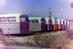 AEC Disposals at Woden Depot - March 1978 (Barry Snelson Collection)