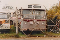 ZIB 057 at rear, unknown bus at front - Hume Hwy Liverpool 1985 - Barry Snelson Collection