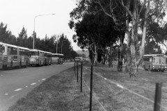 1986 Papal Visit - Federal Hwy