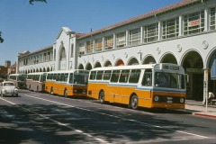 AEC Swifts - Northbourne Ave