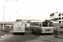 Woden-Interchange-Buses-226-and-228